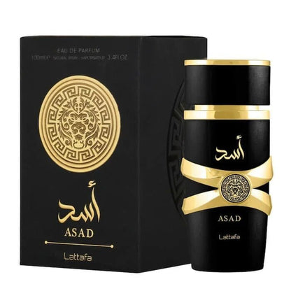Asad | Lattafa 100ml - My Infuse